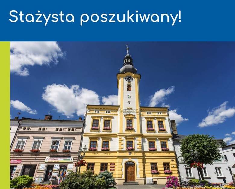 Stażysta poszukiwany! - grafika z ratuszem